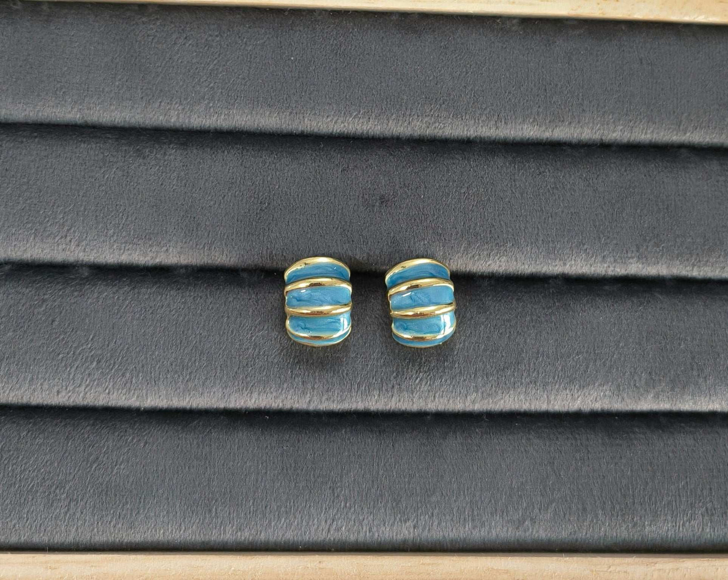 Fancy Blue Golden Toned Enamel Earrings