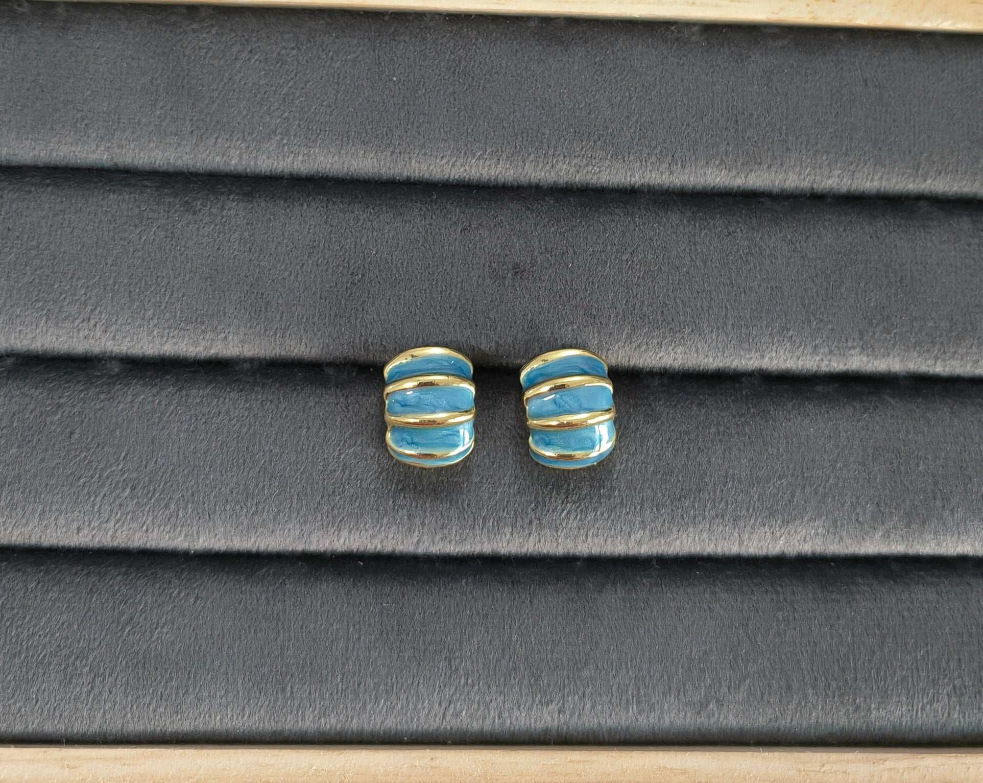 Fancy Blue Golden Toned Enamel Earrings