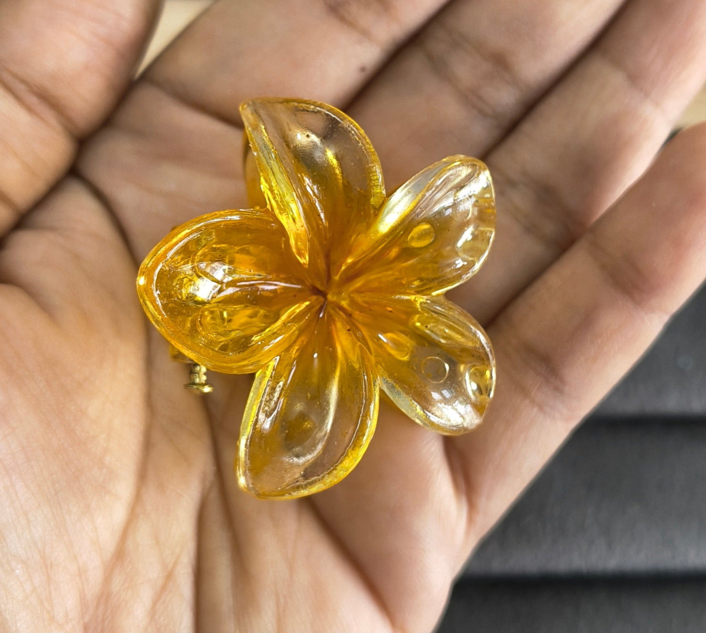 Transparent Glossy Flower Hair Claw Clip Combo