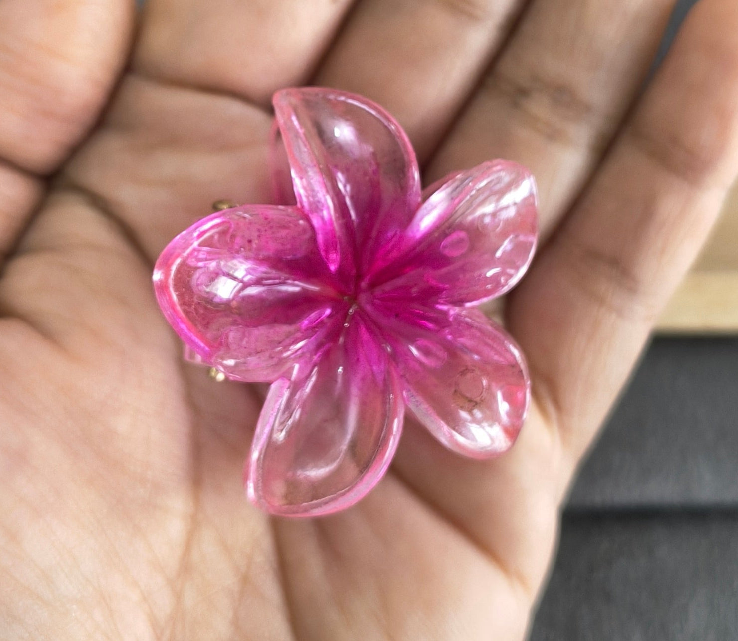Transparent Glossy Flower Hair Claw Clip Combo