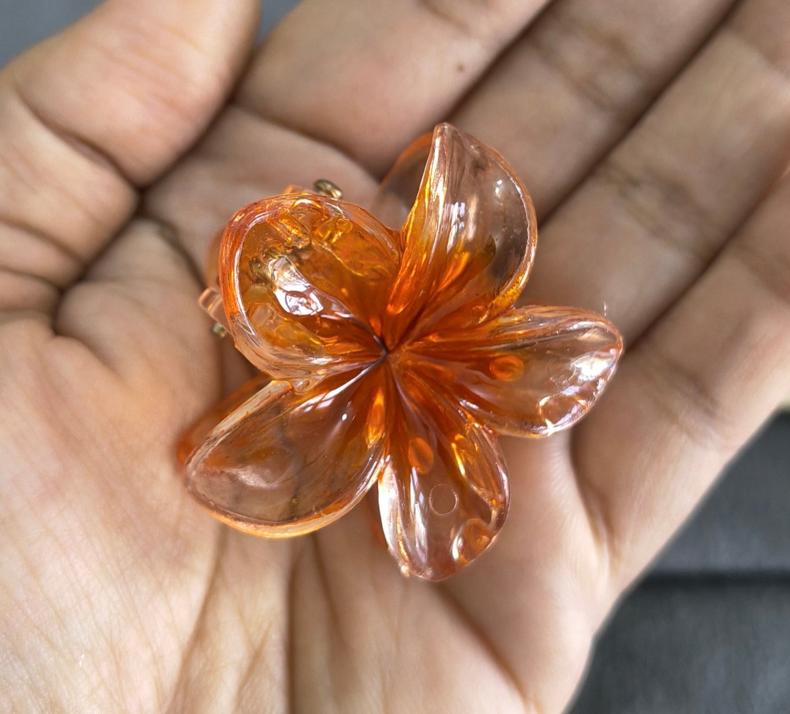 Transparent Glossy Flower Hair Claw Clip Combo