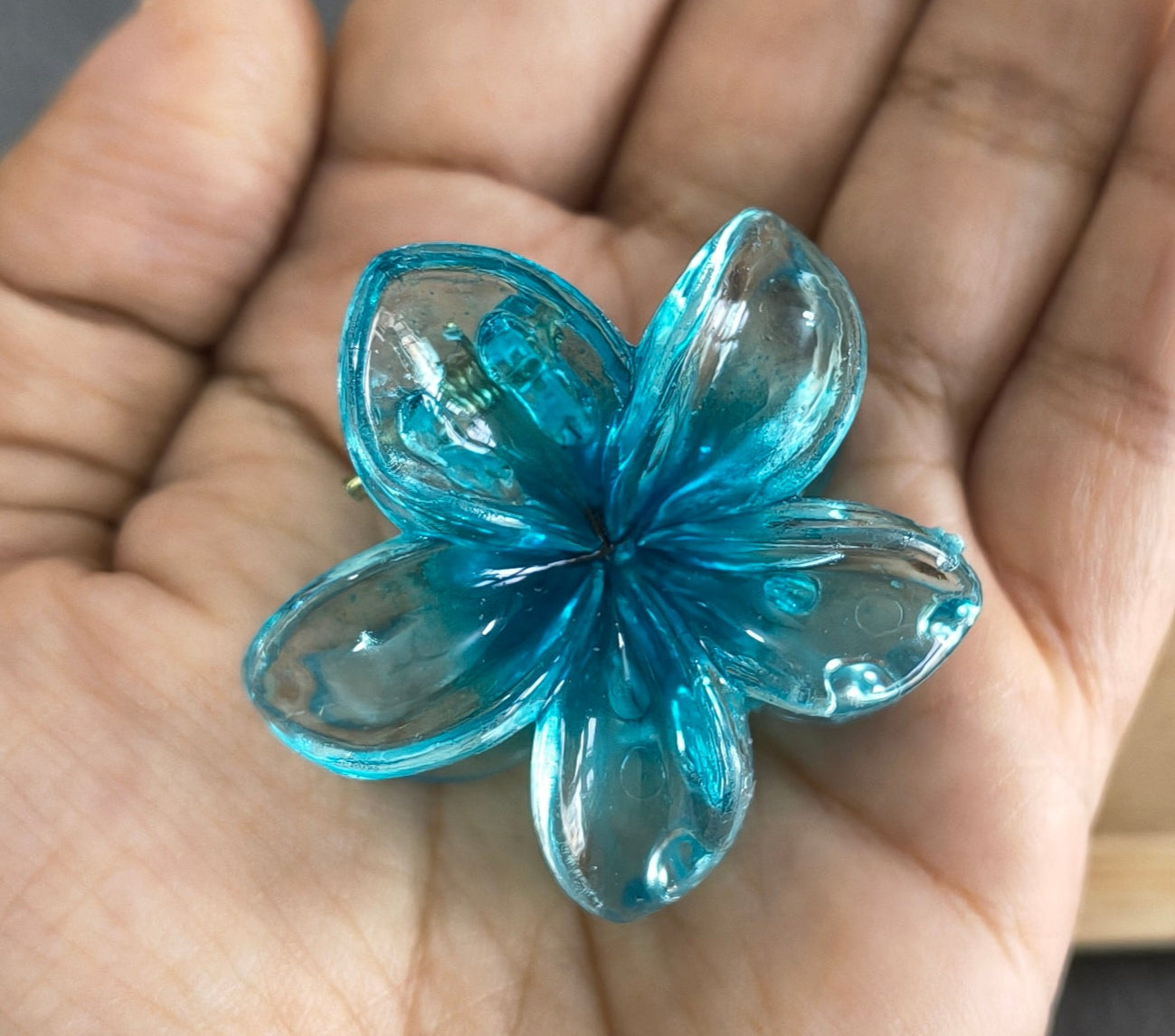 Transparent Glossy Flower Hair Claw Clip Combo