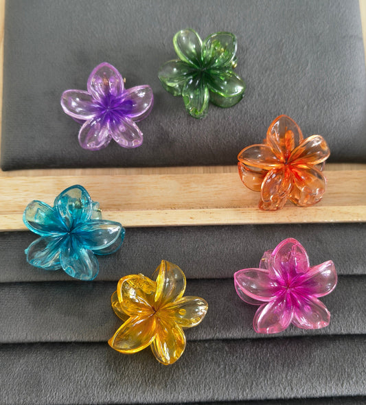 Transparent Glossy Flower Hair Claw Clip Combo